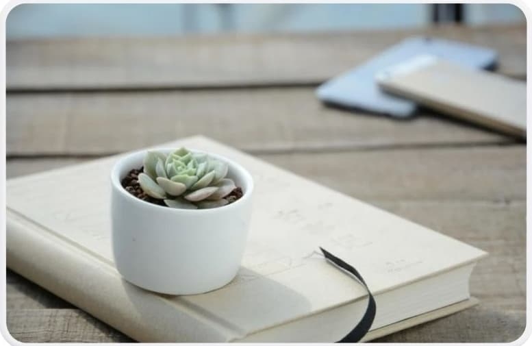 AFFINGER6　マイブロックの基本の使い方