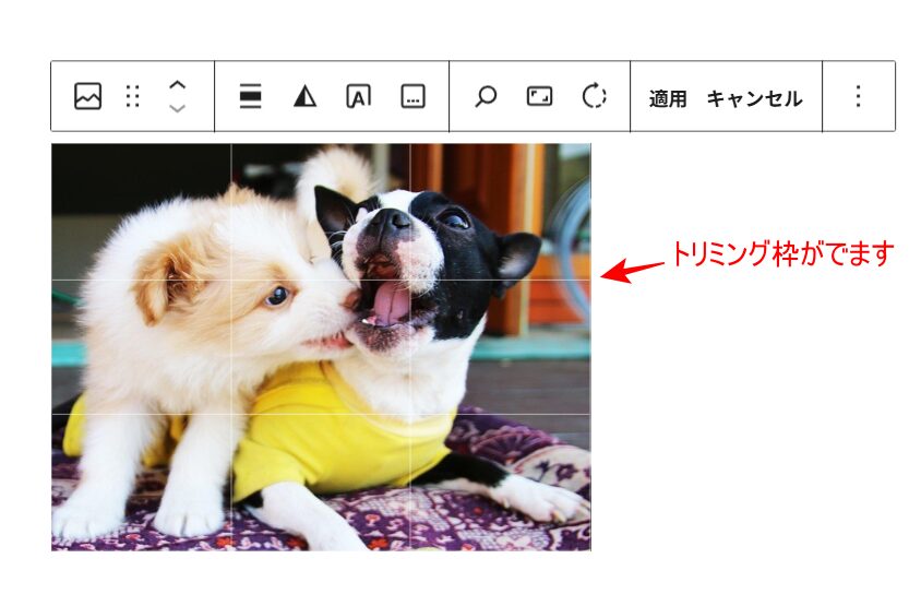 画像ブロックツールバー　切り抜き　トリミング枠が表示される