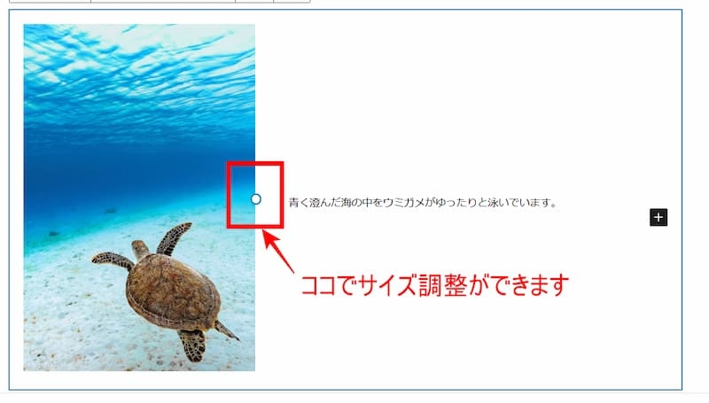 メディアとテキスト　サイズ調整の仕方