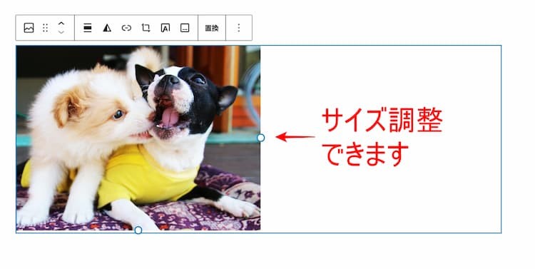 画像サイズ調節は○印をマ動かすとできる